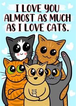 Send this Anniversary card to someone special to remind them just how much you love them, even if it's not quite as much as you love cats! Perfect for anniversaries, birthdays or just because.
